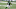 New Orleans Saints New Orleans Saints