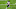 New Orleans Saints New Orleans Saints