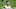 Saints, Wil Lutz Saints, Wil Lutz
