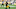 New Orleans Saints New Orleans Saints