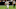 Taysom Hill, New Orleans Saints Taysom Hill, New Orleans Saints