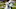 New Orleans Saints New Orleans Saints