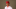 Feb 24, 2016; Goodyear, AZ, USA; Cincinnati Reds pitcher Rookie Davis poses for a portrait during media day at the Reds training facility at Goodyear Ballpark. Mandatory Credit: Mark J. Rebilas-USA TODAY Sports Feb 24, 2016; Goodyear, AZ, USA; Cincinnati Reds pitcher Rookie Davis poses for a portrait during media day at the Reds training facility at Goodyear Ballpark. Mandatory Credit: Mark J. Rebilas-USA TODAY Sports