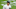 Yankees