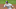 Gleyber Torres #25 of the New York Yankees (Photo by Mitchell Layton/Getty Images) Gleyber Torres #25 of the New York Yankees (Photo by Mitchell Layton/Getty Images)