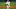 Yankees Yankees