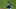 Yankees
