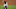 Yankees