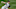 Michael King, New York Yankees, Jordan Montgomery Michael King, New York Yankees, Jordan Montgomery