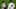 Yankees Yankees