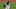 Aroldis Chapman #54 of the New York Yankees (Photo by Rob Carr/Getty Images) Aroldis Chapman #54 of the New York Yankees (Photo by Rob Carr/Getty Images)