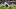 Torino FC v Bologna FC - Serie A Torino FC v Bologna FC - Serie A