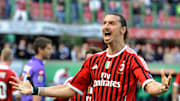 Ibrahimovic se ha comprado un bosque