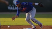 Acereros de Monclova y Algodoneros de Unión Laguna tienen partidos programados este domingo en la Liga Mexicana de Béisbol 
