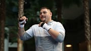 Andy Ruiz busca recuperar el título mundial de pesos pesados