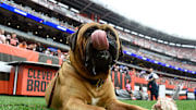 The Browns' mascot tragically lost his struggle with cancer.