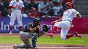 Leones y Toros inician la Serie del Rey de la LMB