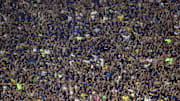 Hinchas de Boca en La Bombonera