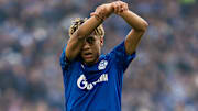 FC Schalke 04 v TSG 1899 Hoffenheim - Bundesliga