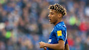 FC Schalke 04 v TSG 1899 Hoffenheim - Bundesliga