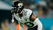 Jacksonville Jaguars v Miami Dolphins