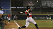 Leones y Toros serán los protagonistas de la final de la LMB