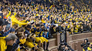 Minnesota v Michigan