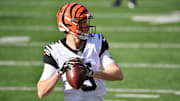 Finley tiene dos campañas de experiencia con los Bengals en la NFL