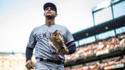 Former New York Yankee Greg Bird is now a free agent and can grow his facial hair how he wants
