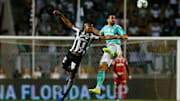 Palmeiras v Botafogo- Brasileirao Series A 2019