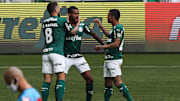 Palmeiras precisa da vitória se ainda sonha com título nacional