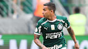 Palmeiras v Gremio - Brasileirao Series A 2019