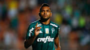 Palmeiras v Ponte Preta - Brasileirao Series A 2017