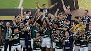Palmeiras v Santos - Copa CONMEBOL Libertadores 2020 Final