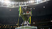 Palmeiras v Santos - Copa do Brasil 2015 Final