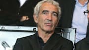 Raymond Domenech devrait être le prochain entraîneur du FC Nantes.