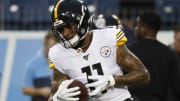 Pittsburgh Steelers v Tennessee Titans
