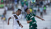 Ponte Preta v Palmeiras - Brasileirao Series A 2017