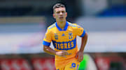 Leo Fernández no permanecería en Tigres 