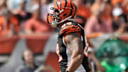 San Francisco 49ers v Cincinnati Bengals