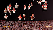 Sao Paulo's fans cheer at the beginning