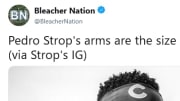 Cubs reliever Pedro Strop's forearms are absolutely massive. 