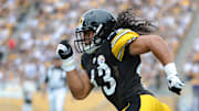 Steelers DB Troy Polamalu was an eight-time Pro Bowler and six-time All-Pro over his 12 NFL seasons.