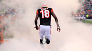 Tampa Bay Buccaneers v Cincinnati Bengals