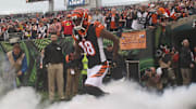Tampa Bay Buccaneers v Cincinnati Bengals