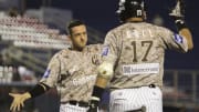 Toros y Leones protagonizarán las finales de la LMB