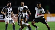 Vasco da Gama v Botafogo - Brasileirao Series A 2019