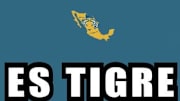 El histórico pase de Tigres a la final del Mundial de Clubes causó varios memes divertidos que raspó a los otros equipos mexicanos.
