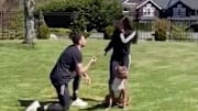 Bulls star Zach LaVine proposed to his high school sweetheart on Monday.