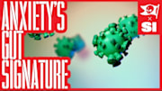 The Anxiety Paradox: How Gut Bacteria May Shape Mental Health and Athletic Focus